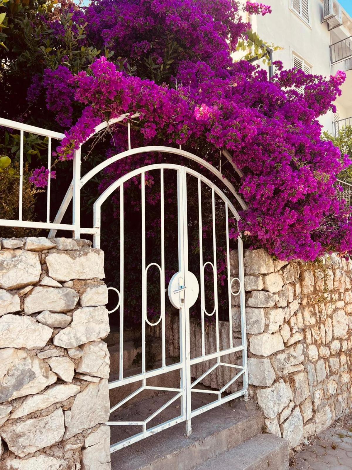 Porto Apartment Neum